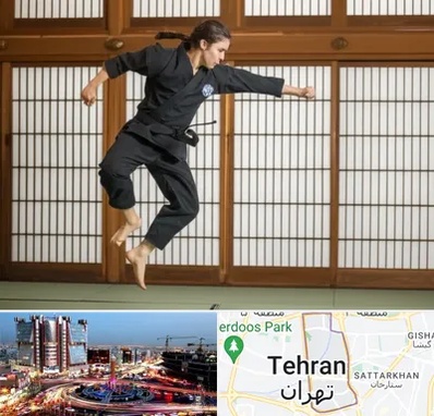 باشگاه نینجا در صادقیه 