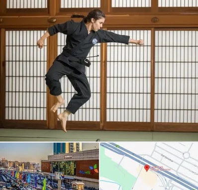 باشگاه نینجا در لاله پارک تبریز 