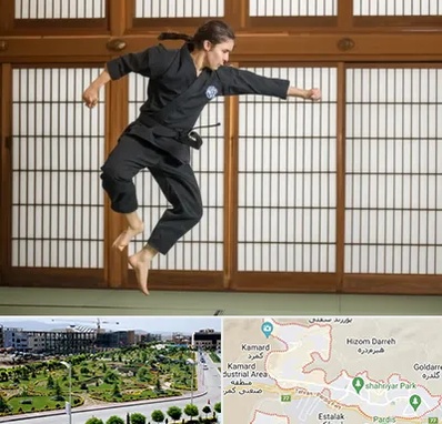 باشگاه نینجا در پردیس