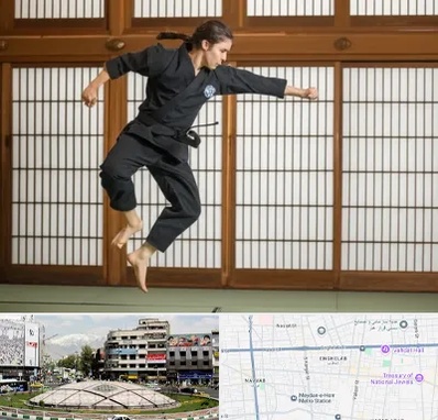 باشگاه نینجا در مرکز تهران 