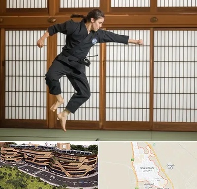 باشگاه نینجا در شاهین شهر