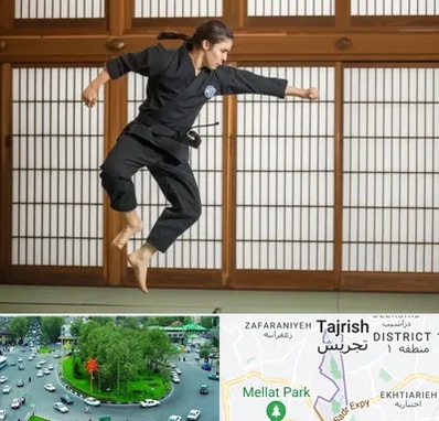 باشگاه نینجا در تجریش 