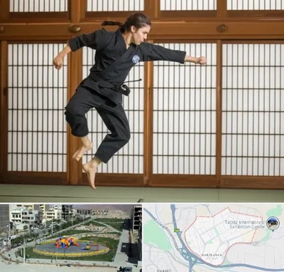 باشگاه نینجا در مرزداران تبریز 