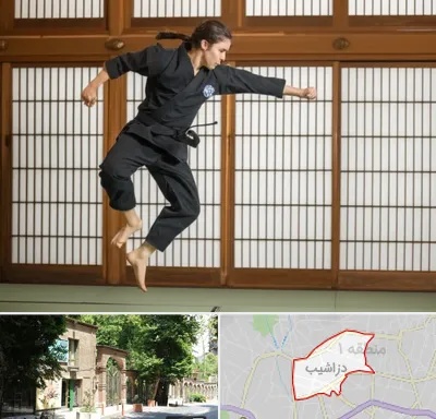 باشگاه نینجا در دزاشیب