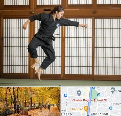 باشگاه نینجا در چهارباغ اصفهان 