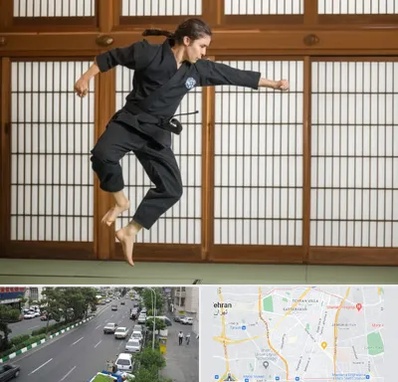 باشگاه نینجا در ستارخان 