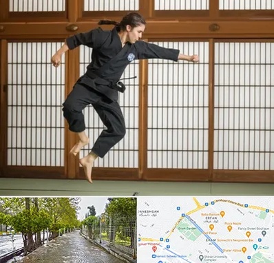 باشگاه نینجا در خیابان ارم شیراز 