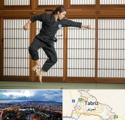 باشگاه نینجا در تبریز