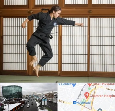باشگاه نینجا در اقدسیه 