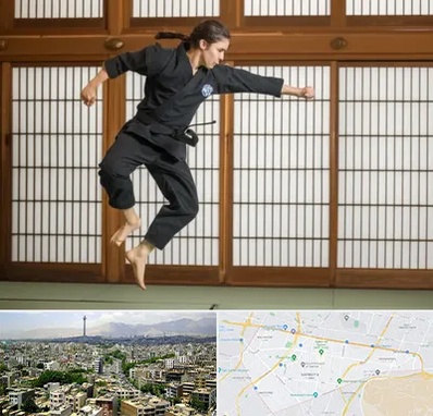 باشگاه نینجا در منطقه 8 تهران