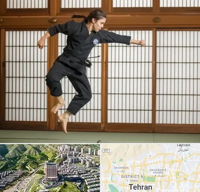 باشگاه نینجا در شمال تهران 