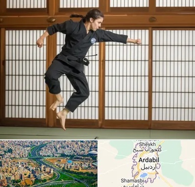 باشگاه نینجا در اردبیل