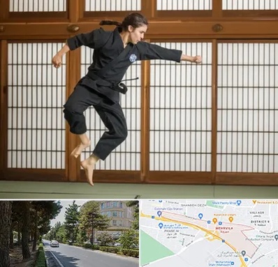 باشگاه نینجا در مهرویلا کرج 