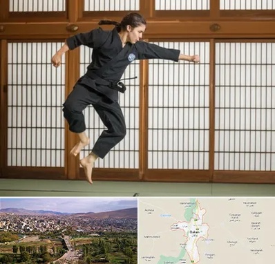 باشگاه نینجا در بوکان