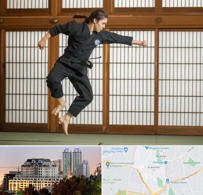 باشگاه نینجا در فرشته 