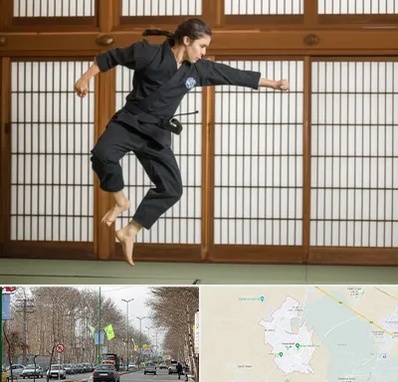 باشگاه نینجا در نظرآباد کرج 