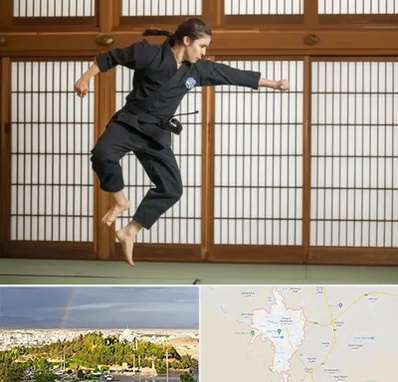 باشگاه نینجا در تربت حیدریه