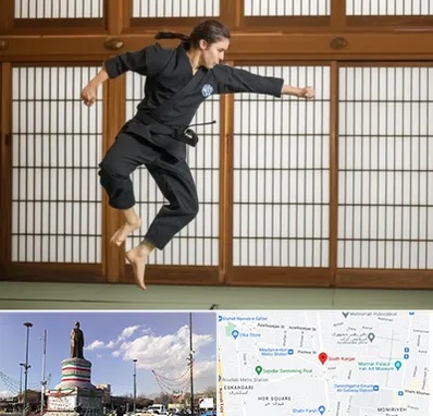 باشگاه نینجا در کارگر جنوبی