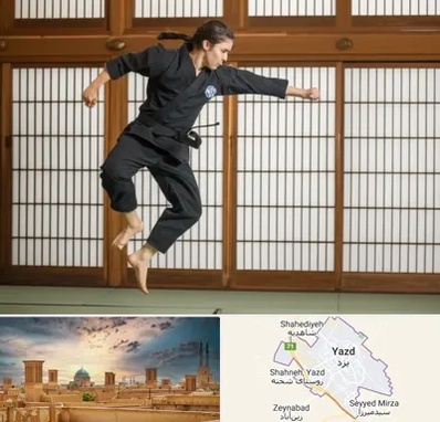 باشگاه نینجا در یزد