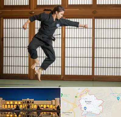 باشگاه نینجا در برازجان