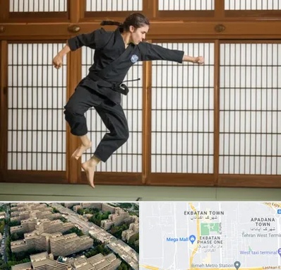 باشگاه نینجا در اکباتان 