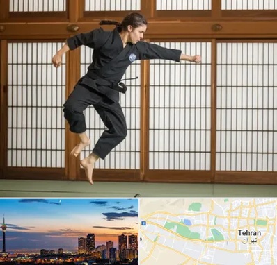 باشگاه نینجا در غرب تهران 