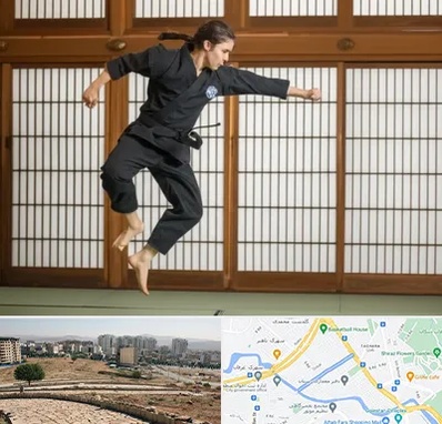 باشگاه نینجا در کوی وحدت شیراز 