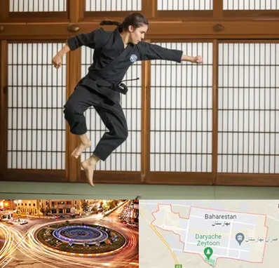 باشگاه نینجا در بهارستان