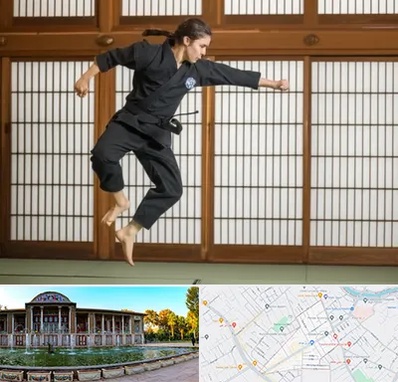 باشگاه نینجا در عفیف آباد شیراز 