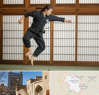 باشگاه نینجا در تربت جام