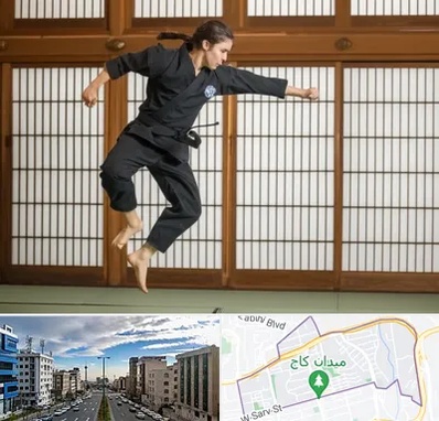 باشگاه نینجا در سعادت آباد 