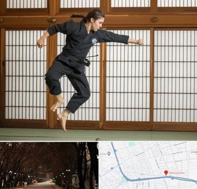 باشگاه نینجا در ابوریحان تبریز 