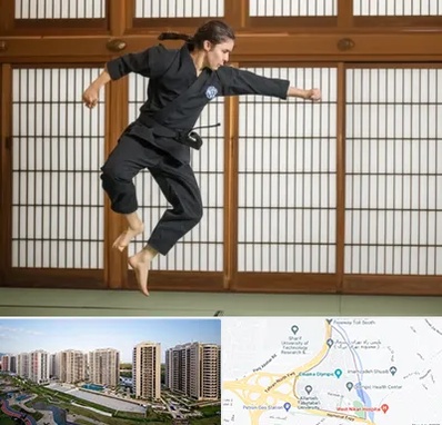 باشگاه نینجا در المپیک