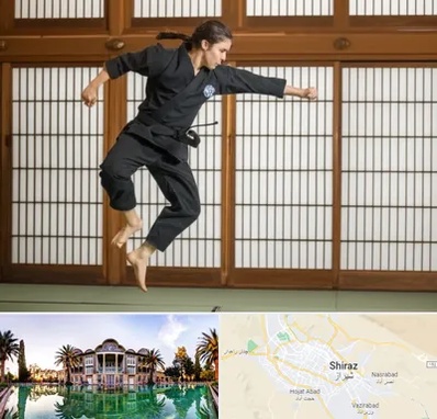 باشگاه نینجا در شیراز