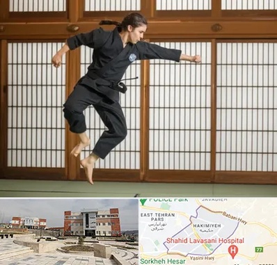 باشگاه نینجا در حکیمیه