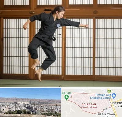 باشگاه نینجا در شهرک گلستان شیراز 