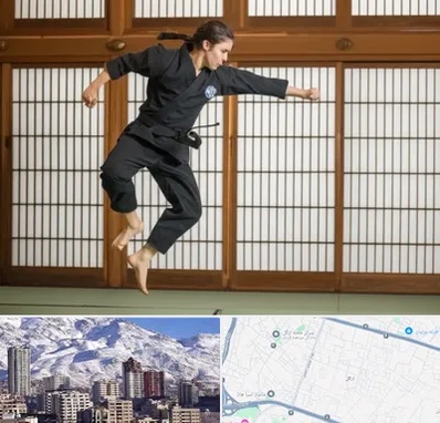 باشگاه نینجا در ازگل 