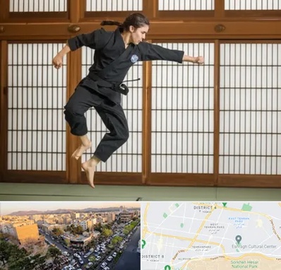 باشگاه نینجا در تهرانپارس 