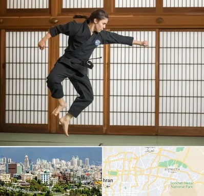 باشگاه نینجا در شرق تهران 