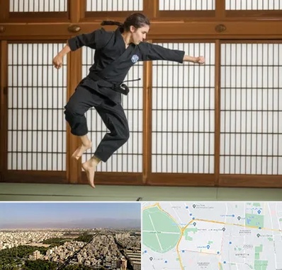 باشگاه نینجا در نازی آباد 