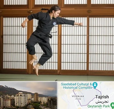 باشگاه نینجا در زعفرانیه 