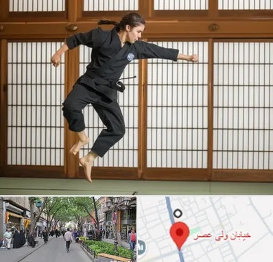 باشگاه نینجا در ولیعصر شهریار