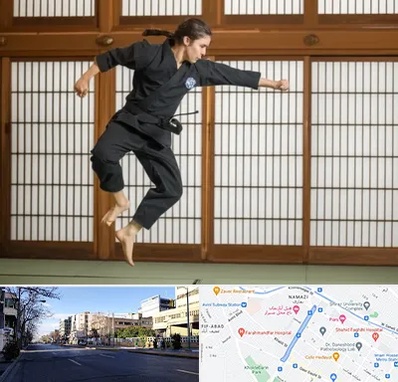 باشگاه نینجا در خیابان ملاصدرا شیراز 