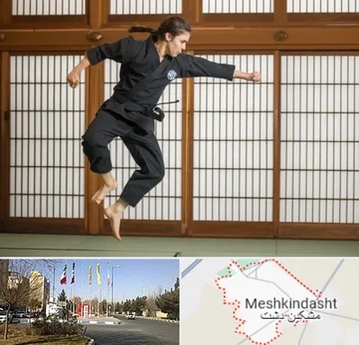 باشگاه نینجا در مشکین دشت