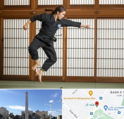 باشگاه نینجا در فلکه گاز شیراز 