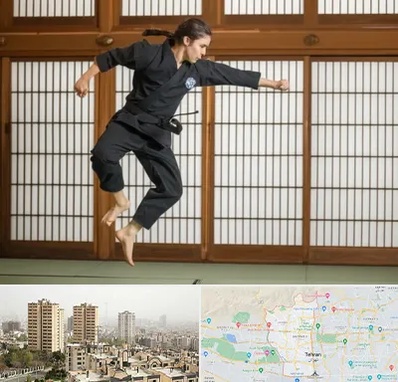 باشگاه نینجا در منطقه 5 تهران