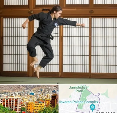 باشگاه نینجا در نیاوران