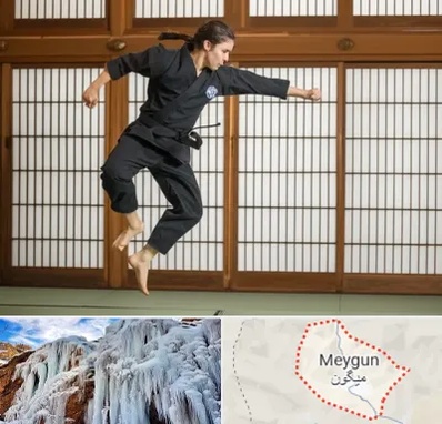 باشگاه نینجا در میگون