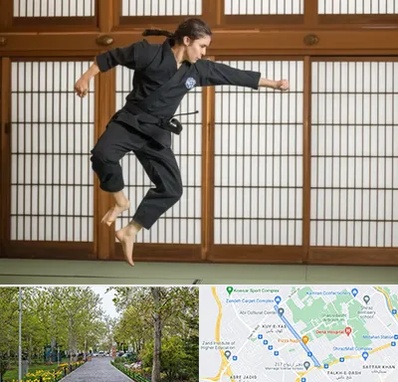 باشگاه نینجا در قدوسی غربی شیراز 