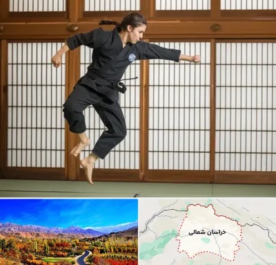باشگاه نینجا در خراسان شمالی